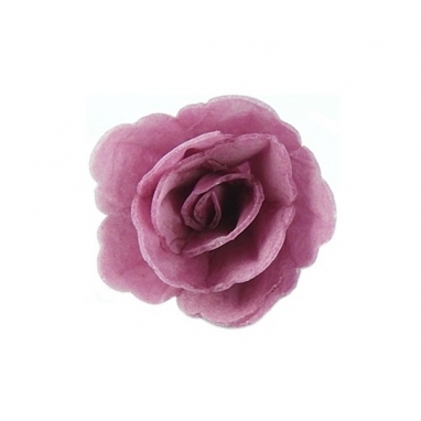 Róża chińska waflowa mała amarantowa 1 sztuka